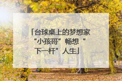 台球桌上的梦想家 “小孩哥”畅想“下一杆”人生