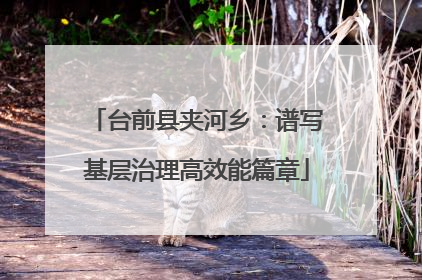 台前县夹河乡：谱写基层治理高效能篇章