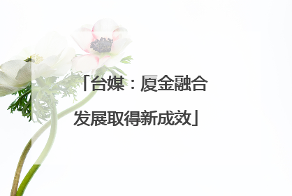台媒：厦金融合发展取得新成效