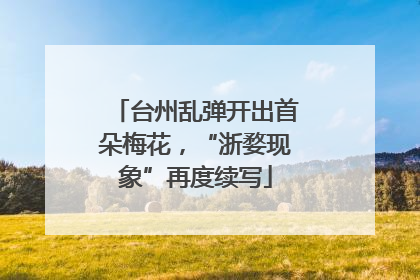 台州乱弹开出首朵梅花，“浙婺现象”再度续写