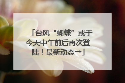 台风“蝴蝶”或于今天中午前后再次登陆！最新动态→