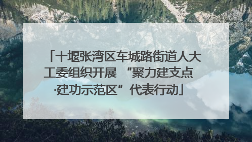 十堰张湾区车城路街道人大工委组织开展 “聚力建支点·建功示范区”代表行动