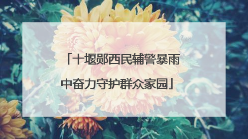 十堰郧西民辅警暴雨中奋力守护群众家园