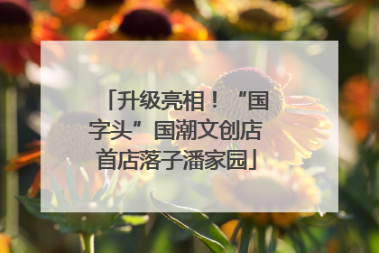 升级亮相！“国字头”国潮文创店首店落子潘家园