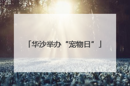 华沙举办“宠物日”