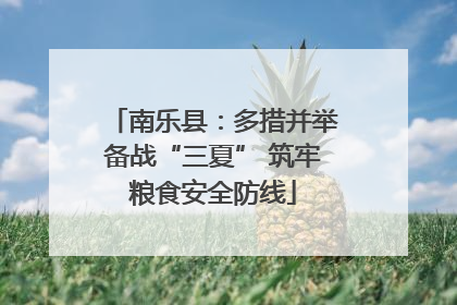 南乐县：多措并举备战“三夏” 筑牢粮食安全防线