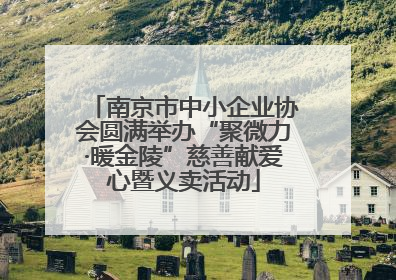 南京市中小企业协会圆满举办“聚微力·暖金陵”慈善献爱心暨义卖活动
