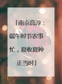 南京高淳：端午时节农事忙，夏收夏种正当时
