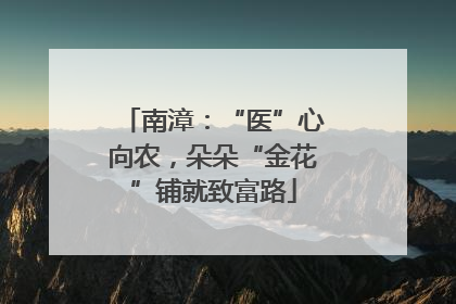 南漳：“医”心向农，朵朵“金花”铺就致富路