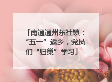 南通通州东社镇：“五一”返乡，党员们“归巢”学习
