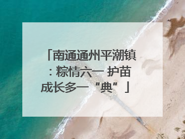 南通通州平潮镇：粽情六一 护苗成长多一“典”