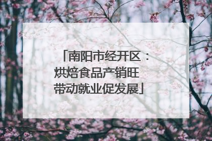 南阳市经开区：烘焙食品产销旺 带动就业促发展