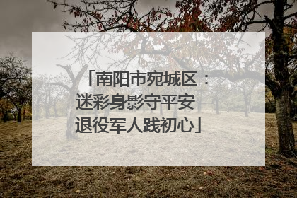 南阳市宛城区：迷彩身影守平安 退役军人践初心