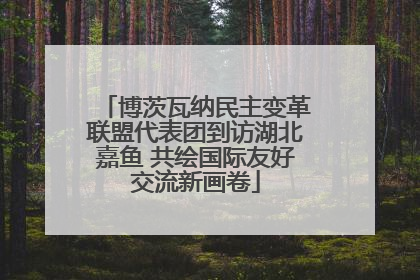 博茨瓦纳民主变革联盟代表团到访湖北嘉鱼 共绘国际友好交流新画卷