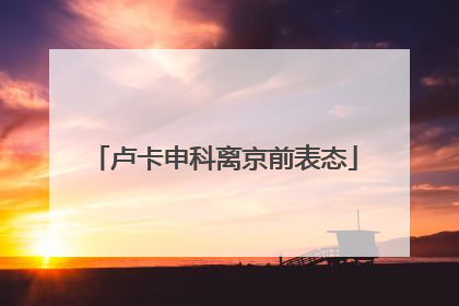 卢卡申科离京前表态