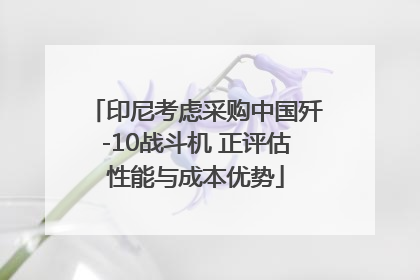 印尼考虑采购中国歼-10战斗机 正评估性能与成本优势