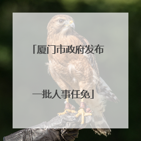 厦门市政府发布一批人事任免