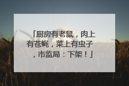 厨房有老鼠，肉上有苍蝇，菜上有虫子，市监局：下架！