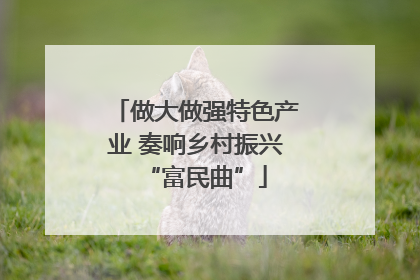 做大做强特色产业 奏响乡村振兴“富民曲”
