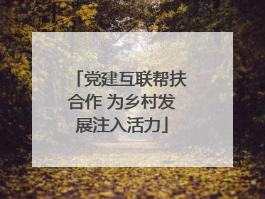 党建互联帮扶合作 为乡村发展注入活力