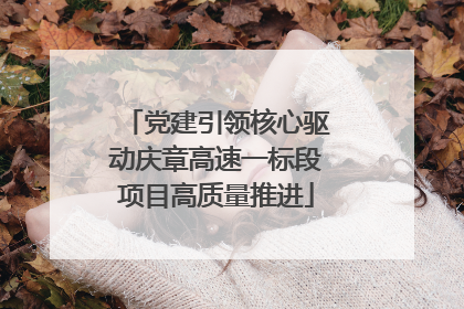 党建引领核心驱动庆章高速一标段项目高质量推进