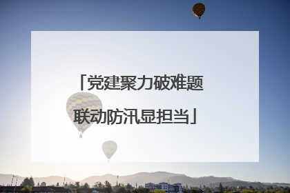 党建聚力破难题 联动防汛显担当