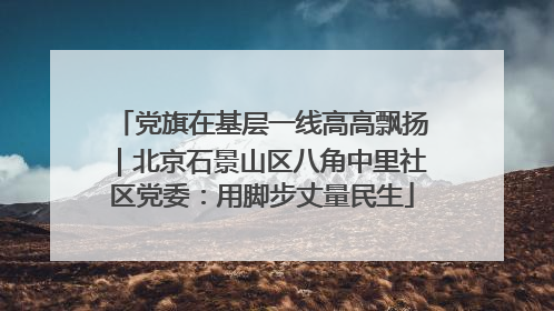 党旗在基层一线高高飘扬｜北京石景山区八角中里社区党委：用脚步丈量民生