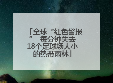 全球“红色警报”  每分钟失去18个足球场大小的热带雨林