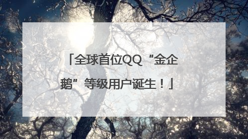 全球首位QQ“金企鹅”等级用户诞生！