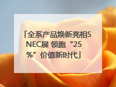 全系产品焕新亮相SNEC展 领跑“25%”价值新时代