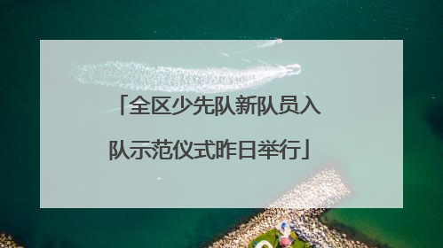 全区少先队新队员入队示范仪式昨日举行