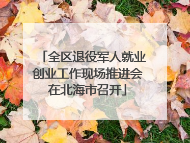 全区退役军人就业创业工作现场推进会在北海市召开