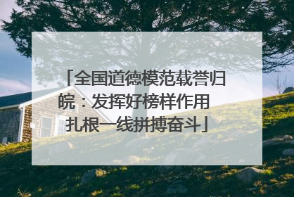 全国道德模范载誉归皖：发挥好榜样作用 扎根一线拼搏奋斗