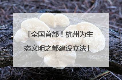 全国首部！杭州为生态文明之都建设立法