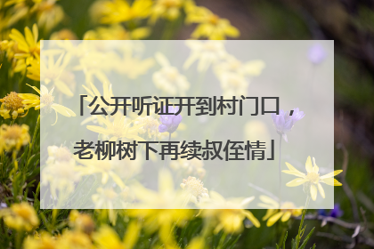 公开听证开到村门口，老柳树下再续叔侄情