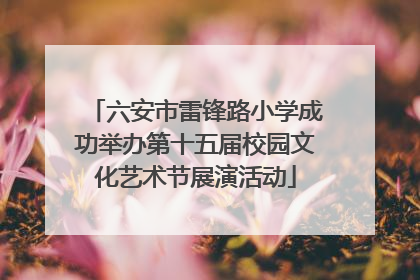 六安市雷锋路小学成功举办第十五届校园文化艺术节展演活动