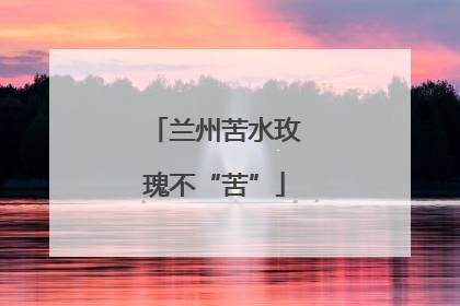 兰州苦水玫瑰不“苦”