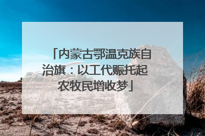 内蒙古鄂温克族自治旗：以工代赈托起农牧民增收梦