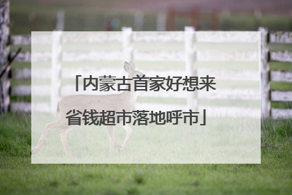 内蒙古首家好想来省钱超市落地呼市