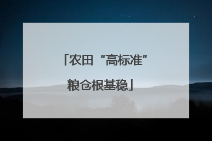 农田“高标准” 粮仓根基稳