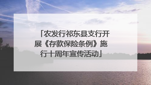农发行祁东县支行开展《存款保险条例》施行十周年宣传活动