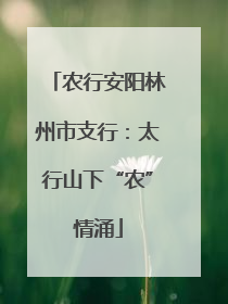 农行安阳林州市支行：太行山下“农”情涌