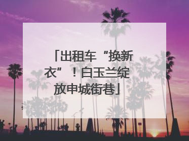 出租车“换新衣”！白玉兰绽放申城街巷