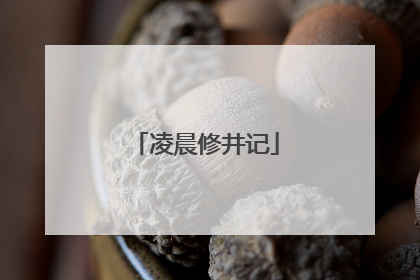 凌晨修井记