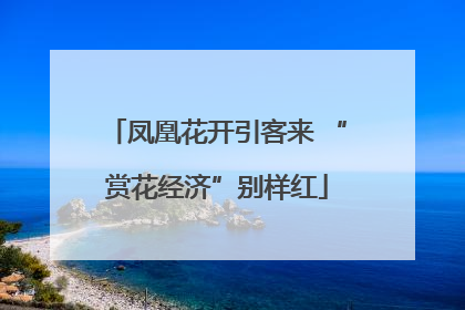 凤凰花开引客来 “赏花经济”别样红