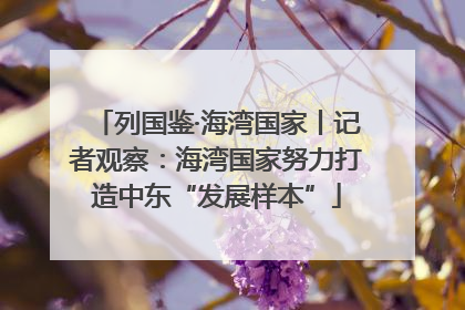 列国鉴·海湾国家丨记者观察：海湾国家努力打造中东“发展样本”