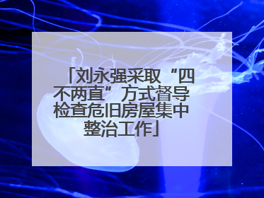 刘永强采取“四不两直”方式督导检查危旧房屋集中整治工作