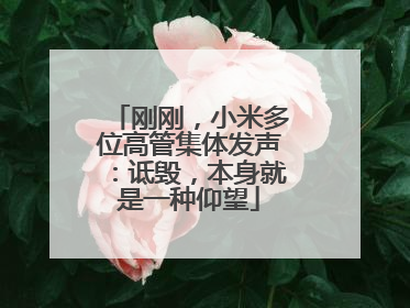 刚刚，小米多位高管集体发声：诋毁，本身就是一种仰望