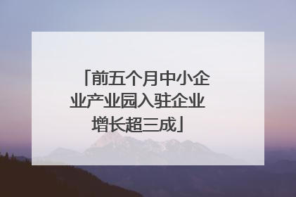 前五个月中小企业产业园入驻企业增长超三成