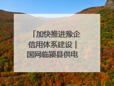 加快推进豫企信用体系建设｜国网临颍县供电公司开展电力行业信用企业现场咨询访谈工作